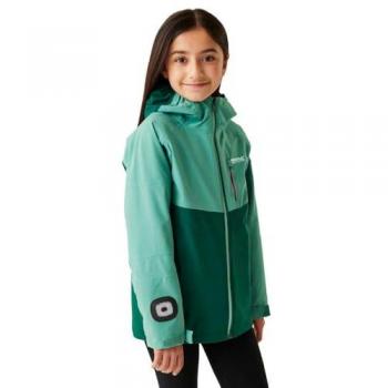 Giacca Trekktain 3-in-1 Regatta Verde Polvere della Foresta