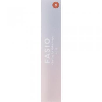 Makeup Permanente Fasio Kose Facio Wonde 005 5,5 g