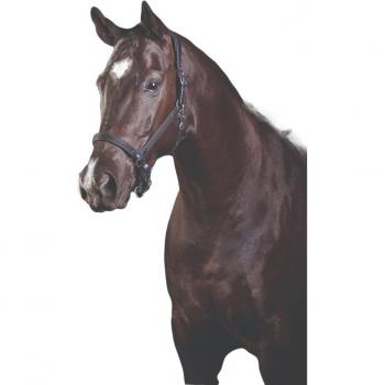 Comfitec Halfter von Weatherbeeta