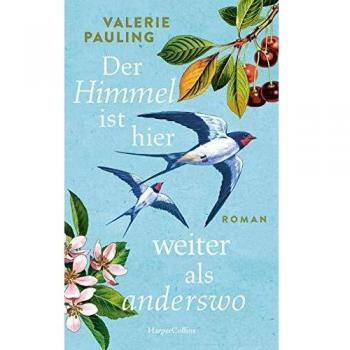Valerie Pauling Der Himmel Ist Hier Weiter Als Anderswo: Roman