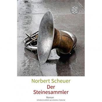 Der Steinesammler: Roman