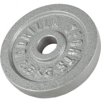 2.5 KG Silver Disc for 30/31 mm