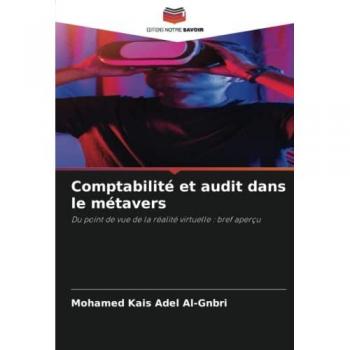 Comptabilité et audit dans le métavers: Du point de vue de la réalité virtuelle : bref aperçu