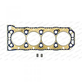 PAYEN BW750 Guarnizione di Testa