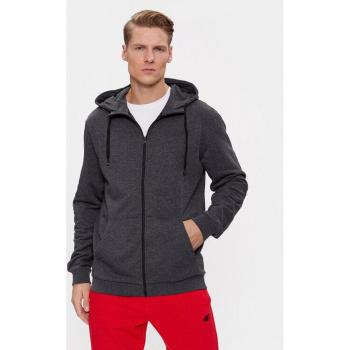 4F Langarmshirt Grau Regular Fit
