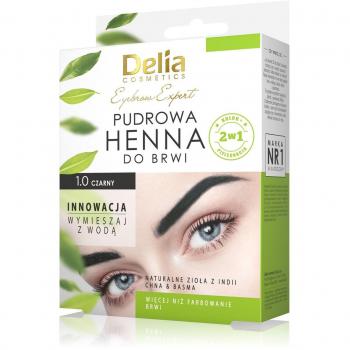 Delia Augenbrauen Expert Farbton 1.0 Schwarz 4 g
