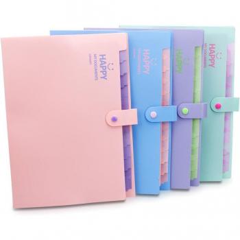A4 Expandable Document Storage Folder