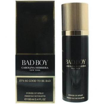 Bad Boy Fresh Eau de Toilette Vaporizador 100 ml