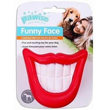 Pawise Funny Face Grosser Zahn 8,5×9 cm Hundespielzeug