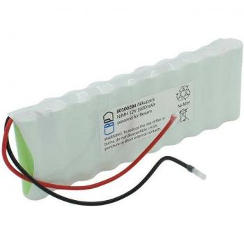 EcoPower Akku für Türsteuerung NiMH 12V 1600mAh passend für Besam