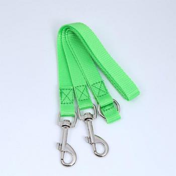 Colorful Two-Way Pet Dog Leash with Strong Nylon and Double Coupler