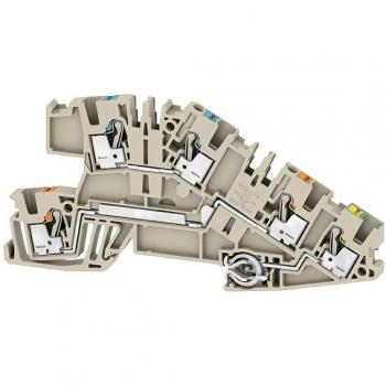 Weidmüller AITB 2.5 BB N-L-PE 2668940000 Morsetto per installazione a più piani Beige 50 pz