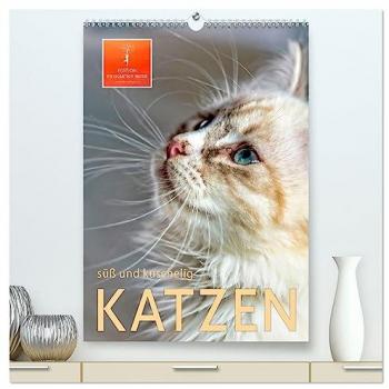 Katzen