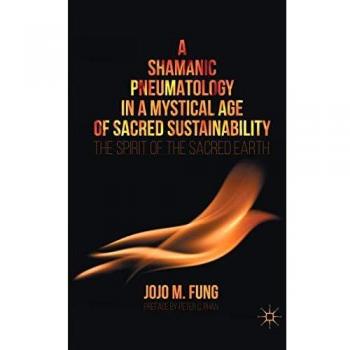 A Shamanic Pneumatology in a Mystical Age of Sacred Sustainability: The Spirit of the Sacred Earth
