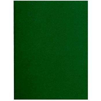 Exacompta chemises rigides FLASH 220 g/m2 vert