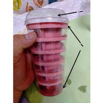 Paradis Acrylique: Tasse de Plâtre et Nid d'Fourmi – Villa Valentine