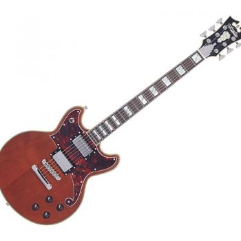 D'Angelico Deluxe Brighton Matte Walnut