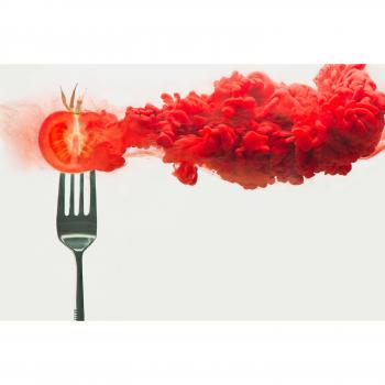 Papermoon Premium Fototapete »DINA BELENKO, ZERFALLENE TOMATE«