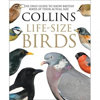 Collins Life-Size Birds: The Only Guide to Show British Birds at ... by Rob Read