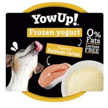 YowUp Premium Lachs-Hunderegal – 12 Portionen