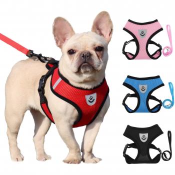 Cama térmica para perros pequeños