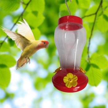 Garden Hummingbird Feeder with Hook
