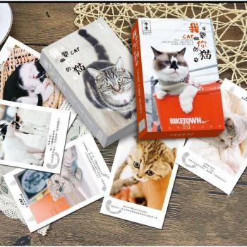 Set de 36 Tarjetas Postales Gato