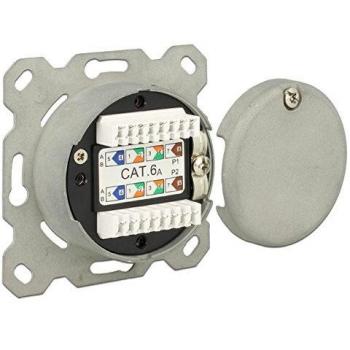 Delock 86195 Soporte de pared modular empotrado 2 puertos Cat.6A LSA