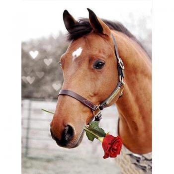 Equine Elegance 5D Diamond Painting Kit – Black Horse Home Decor (20×30 cm)