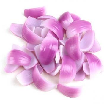 Realistic Onion Slice Replica