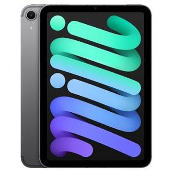 IPad mini 7 (8,3') 5G 256 Go, Gris sidéral