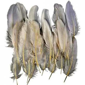 Plumes Blanches, 350 unités, 15 cm