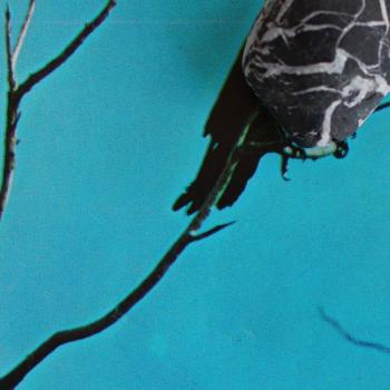 Stateless vinyl lp
