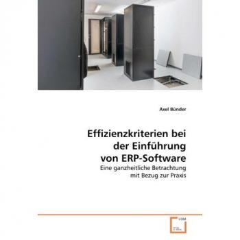 Effizienzkriterien bei der Einführung von ERP-Software
