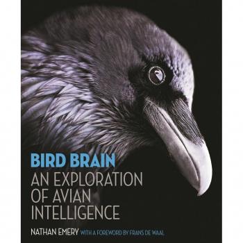 Vitalsource Technologies, Inc. Bird Brain: An Exploration of Avian Intelligence