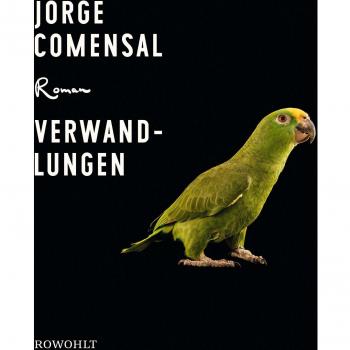 Verwandlungen | Jorge Comensal