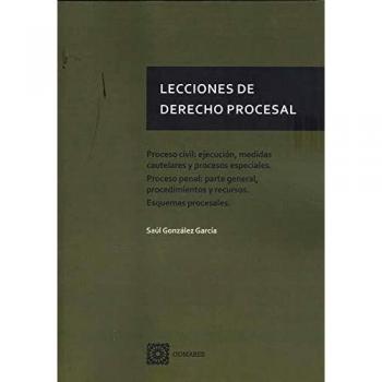 LECCIONES DERECHO PROCESAL PROCESO CIVIL EJECUCION
