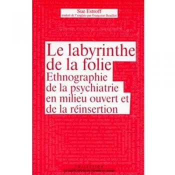 Le Labyrinthe de la folie. Ethnographie de la psychiatrie en milieu ouvert et de la réinsertion