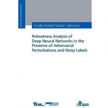 Robustness Analysis of Deep Neural Networks in the Presence of Adversarial Perturbations and Noisy Labels