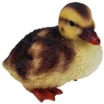 Real Life Squatting Duckling F