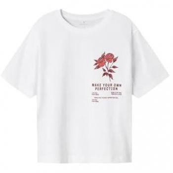 Name It Kurzarmshirt NKFHOMINU SS NREG Topp