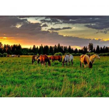 Décor DIY Chevaux au Coucher de Soleil