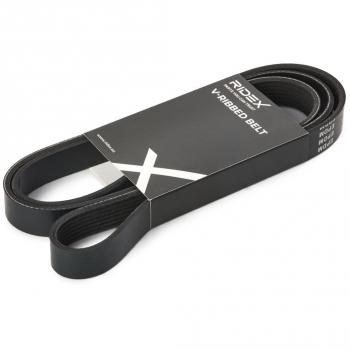 Correia trapezoidal estriada 305P0677 RIDEX