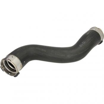 Tuyau d'air de suralimentation THERMOTEC DCM069TT