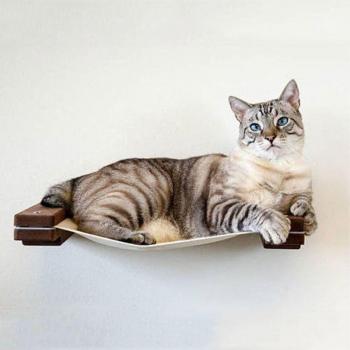 WoodenKitten Climbing Haven