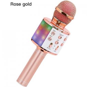 Karaoke Speaker 858L