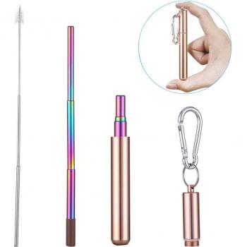 Pailles portatives pliables en inox avec rangement