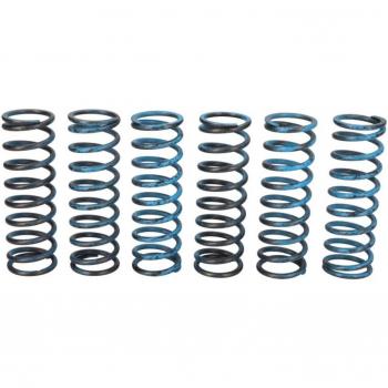 Clutch Spring Pair – TRW MEF313‑6