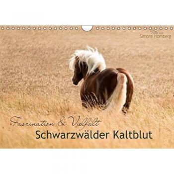 Faszination und Vielfalt