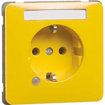 PEHA 2‑Polige SCHUKO‑Eingangsstation G D 80.6511.31LED/4NA 16A 250V – Klinikbedarf